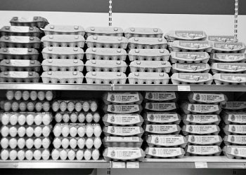 “İnanamıyorum, 90 dakika yedek kulübesinde oturuyorum”