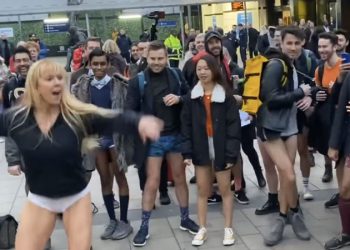 Manchester City evinde Brighton ile berabere kaldı