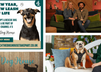 ‘The Dog House’ seeks loving homes in London as rescue centres feel the strain 