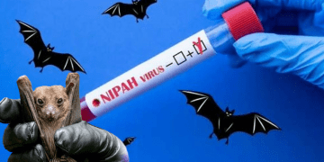 Yarasadan yayılan bir virüs daha: Tedavisi yok!