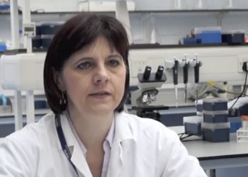 Transfere 13 milyar dolar harcandı