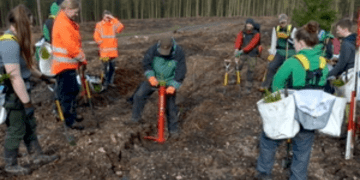 Ormancılıkta yeni kariyer yolları açılıyor: Çıraklık programları başladı