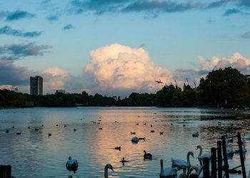 Virgil van Dijk’tan Galatasaray açıklaması