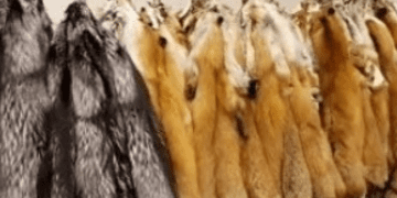 Etsy hayvan kürkü ürünlerinin satışını tamamen yasaklıyor