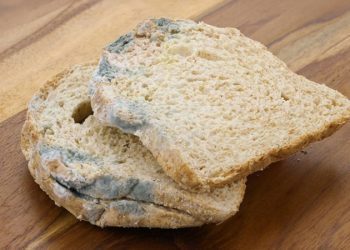 Sakatlık numarasına saha kenarı cezası