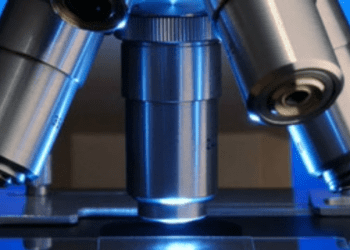 Hükümette üst düzey danışmanlık pozisyonları açıldı