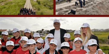 Yeniden Yeşil Kıbrıs: 14 bin 300 fidan toprakla buluştu