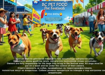 ‘BC Pet Food Pet Festival’ heyecanı: Köpekler ve sahipleri bir araya geliyor