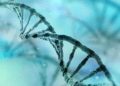MHRA opens UK-wide consultation on redefining gene therapies