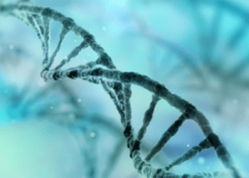 MHRA opens UK-wide consultation on redefining gene therapies