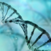 MHRA opens UK-wide consultation on redefining gene therapies