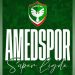 Süper Lig’e yükselen 2. takım Amedspor oldu!