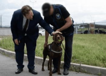 UK strengthens border security with new sniffer dogs deployed in Bulgaria