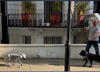 “Hakemler neyin faul olduğunu bilmiyor”