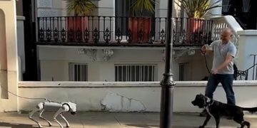 “Hakemler neyin faul olduğunu bilmiyor”