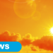 UKHSA issues amber and yellow heat-health alerts across England