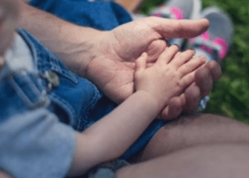 Increasing capacity: Family legal aid providers