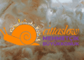 Mehmetçik-Büyükkonuk’a, Cittaslow’da birincilik