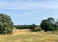 Whitewebbs Park’ta ki, ‘Tottenham tesisi’ ‘planlama izni iptal