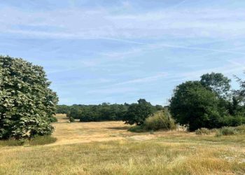 Mahkeme, Whitewebbs Park’ta ki Tottenham tesisi için verilen planlama iznini iptal etti