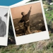 Şanlı Erenköy Direnişi ve Şehitlerini Anma Töreni yapılacak