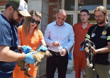 Lefkoşa Barınağı’ndaki sevimli dostların parazit ve aşıları yapıldı