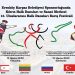 Kaleburnu’nda 13. Uluslararası Halk Dansları Barış Festivali