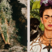 Tracey Emin’den, Frida Kahlo’ya; sanatseverlere kaçırılmayacak sergiler